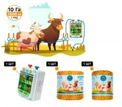 Комплект электропастуха AGRI для КРС и телят Столбики из Арматуры/Верёвка